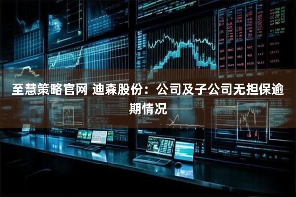 至慧策略官网 迪森股份：公司及子公司无担保逾期情况