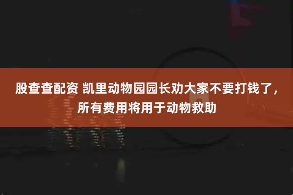股查查配资 凯里动物园园长劝大家不要打钱了，所有费用将用于动物救助