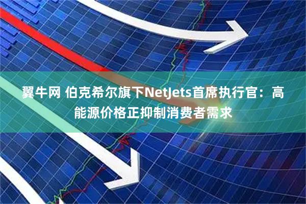 翼牛网 伯克希尔旗下NetJets首席执行官：高能源价格正抑制消费者需求